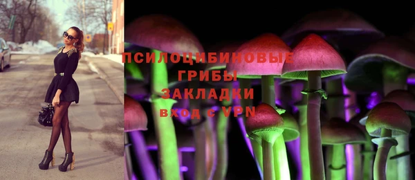 mdma Няндома