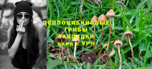 mdma Няндома