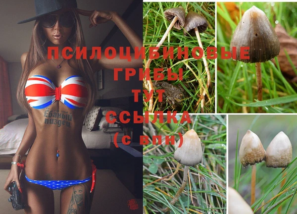 дмт Нязепетровск
