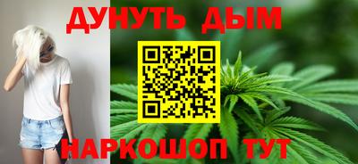МДПВ Кингисепп