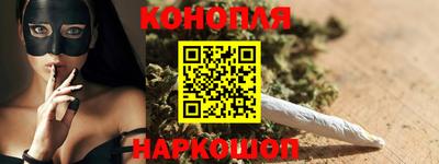 МДПВ Кингисепп