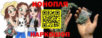 МДПВ Кингисепп