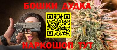МДПВ Кингисепп