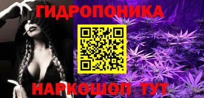 спайс Берёзовский