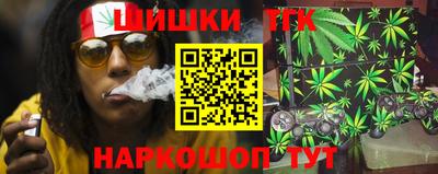МДПВ Кингисепп