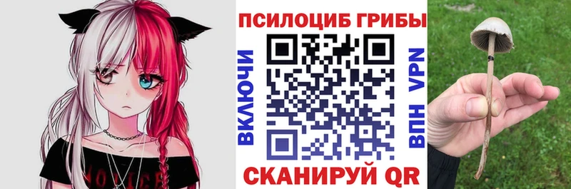 Галлюциногенные грибы ЛСД  как найти закладки  Искитим 