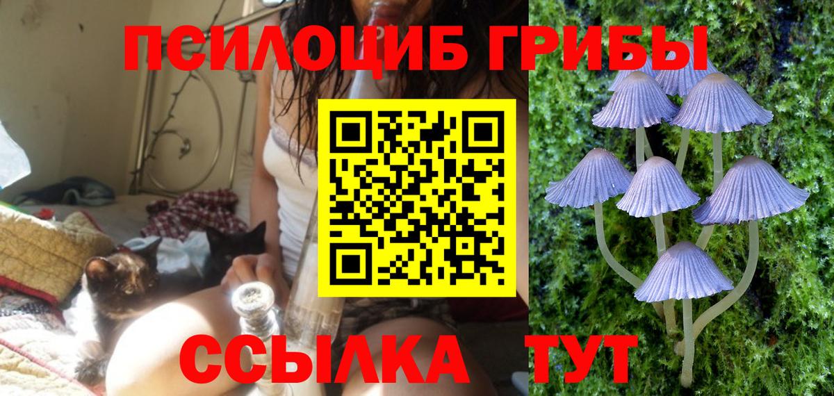 Искитим  Галлюциногенные грибы MAGIC MUSHROOMS  Вход с VPN 