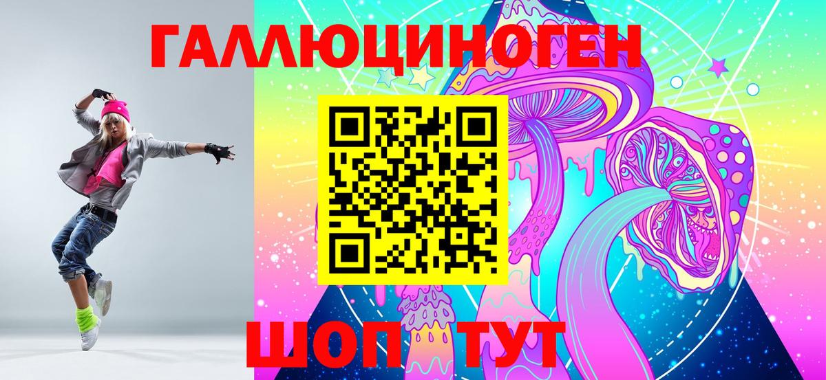 Псилоцибиновые грибы Psilocybe  Галлюциногенные грибы прущие грибы  Искитим 