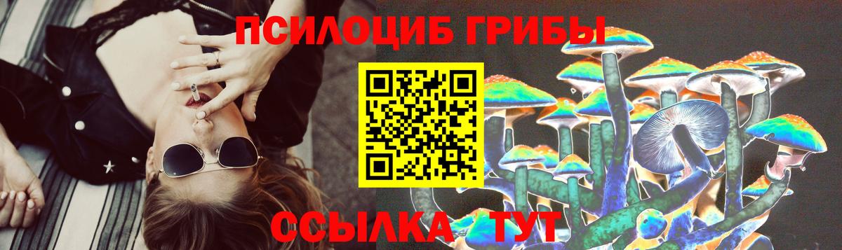 Галлюциногенные грибы MAGIC MUSHROOMS Искитим